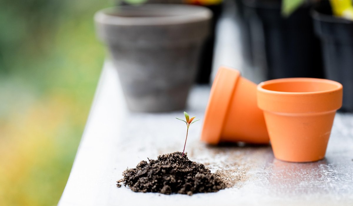 Managing Clay Dust in a Home Studio